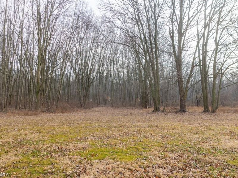 7389 Doylestown Road, Sterling, OH 44276 Photo 8