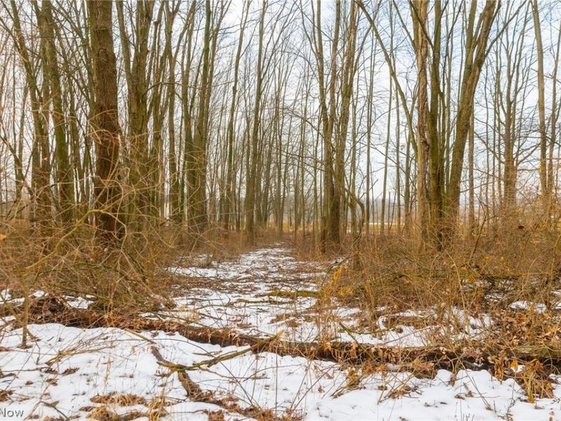 7389 Doylestown Road, Sterling, OH 44276 Photo 10