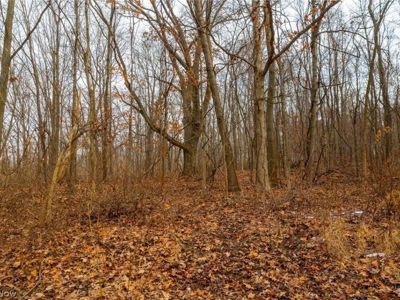 7389 Doylestown Road, Sterling, OH 44276 Photo 11