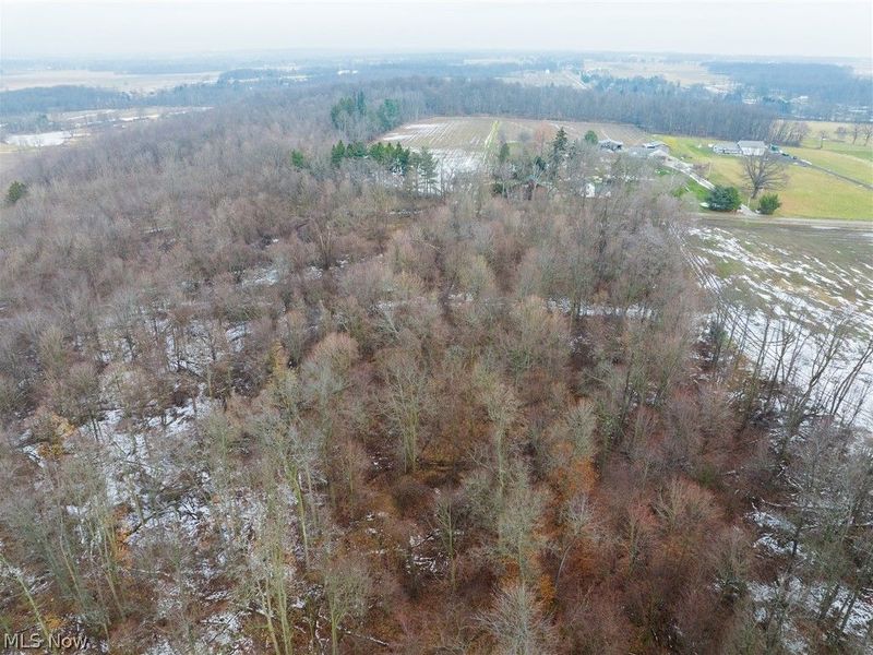 7389 Doylestown Road, Sterling, OH 44276 Photo 14