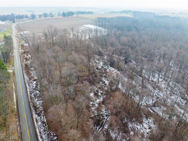 7389 Doylestown Road, Sterling, OH 44276 Photo 16