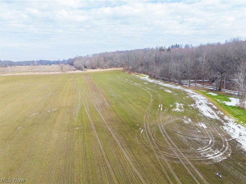 7389 Doylestown Road, Sterling, OH 44276 Photo 4