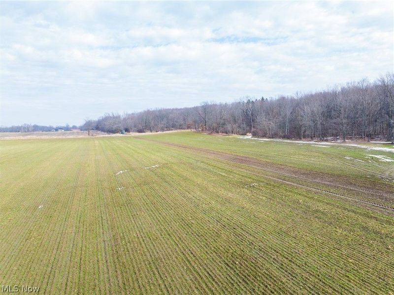 7389 Doylestown Road, Sterling, OH 44276 Photo 5