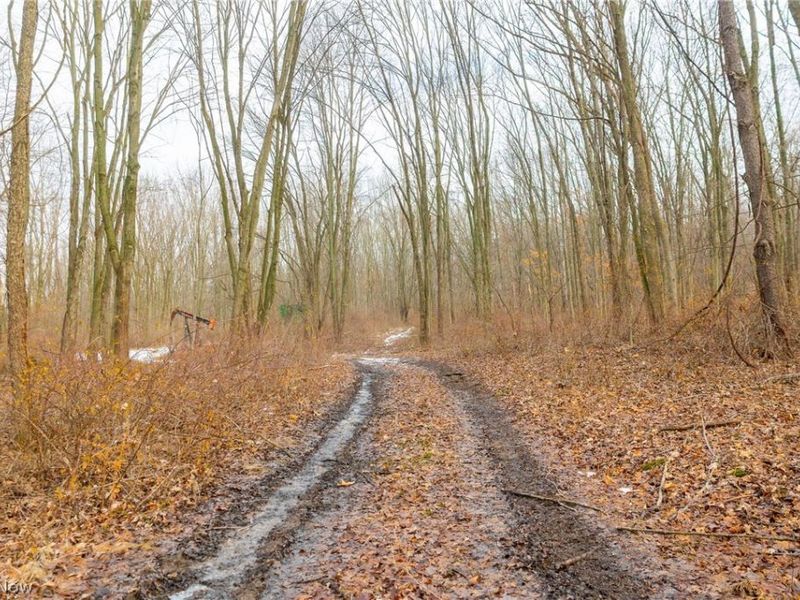 7389 Doylestown Road, Sterling, OH 44276 Photo 7