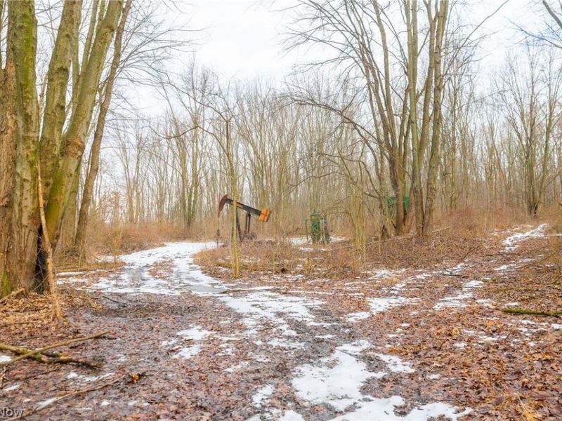 7389 Doylestown Road, Sterling, OH 44276 Photo 8