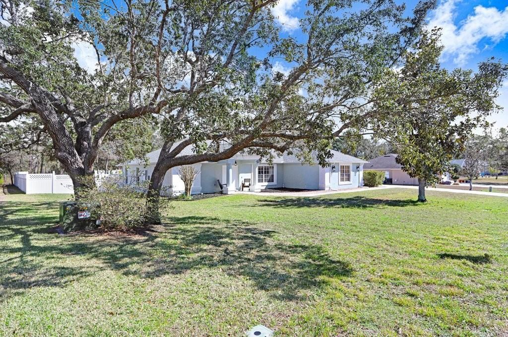 3066 Stephanie Drive , Spring Hill, FL 34608 Photo