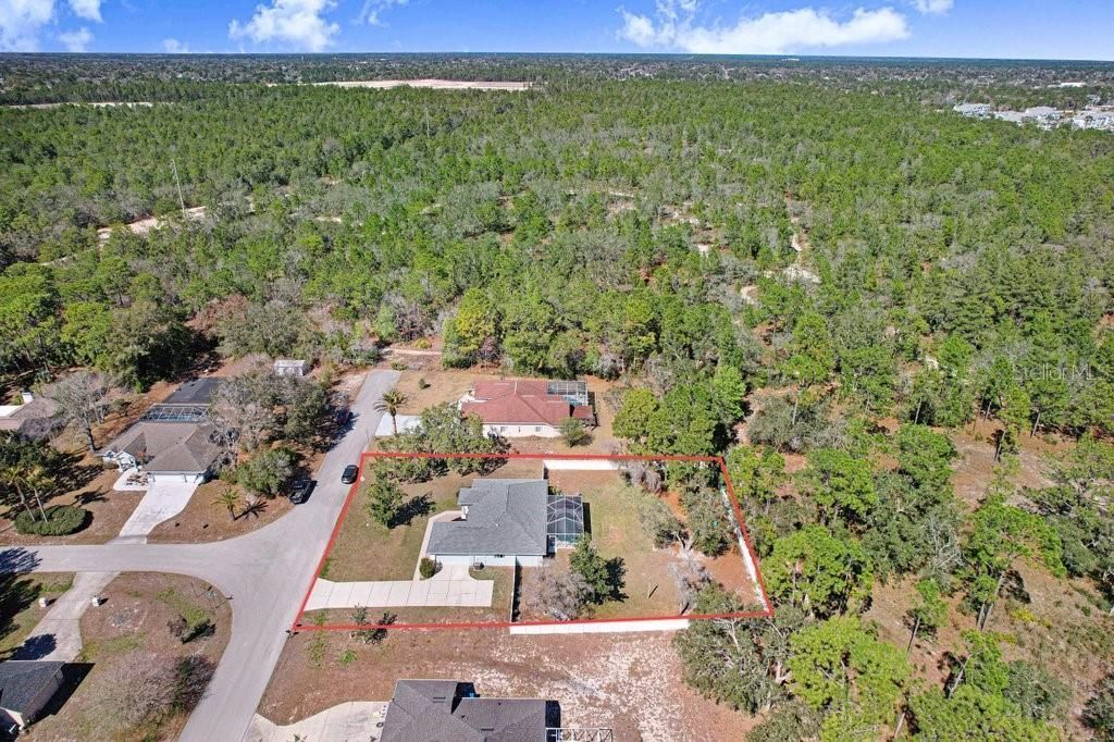 3066 Stephanie Drive , Spring Hill, FL 34608 Photo