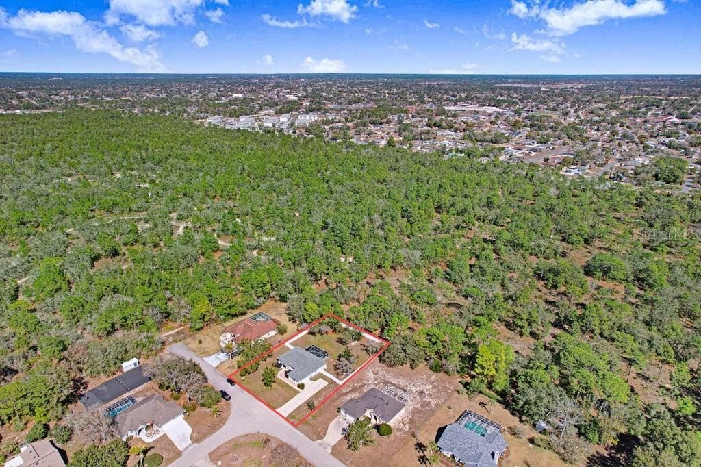 3066 Stephanie Drive , Spring Hill, FL 34608 Photo