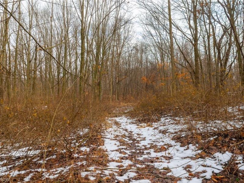 7389 Doylestown Road, Sterling, OH 44276 Photo 10