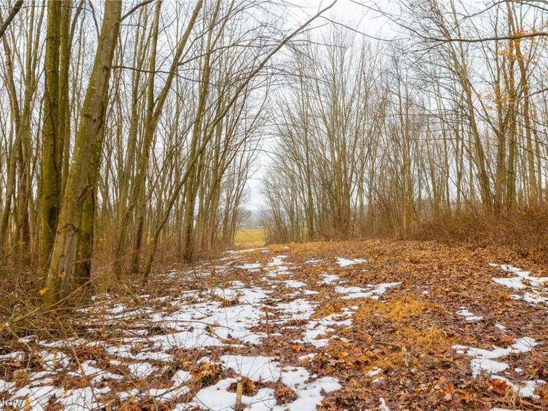 7389 Doylestown Road, Sterling, OH 44276 Photo 11