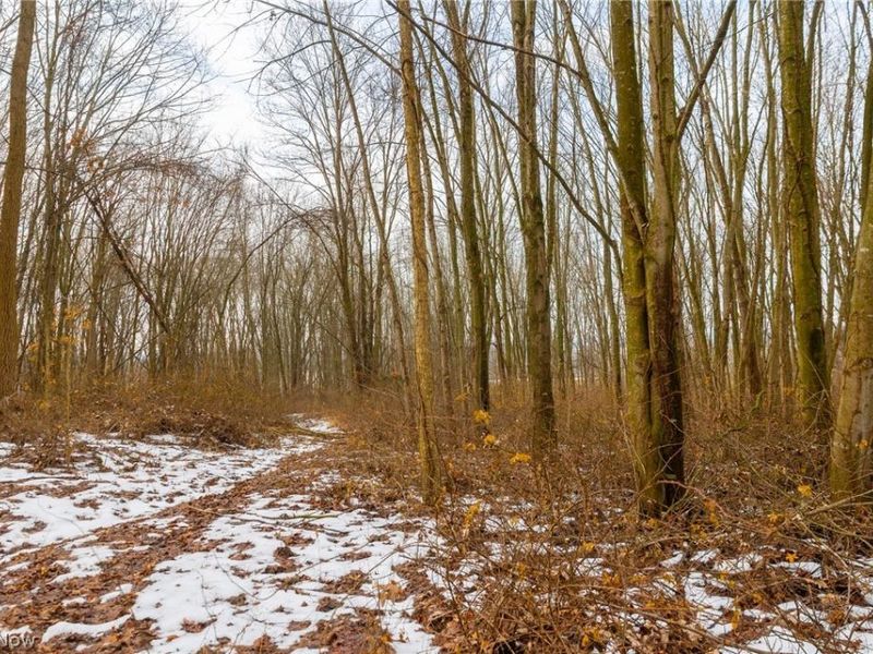 7389 Doylestown Road, Sterling, OH 44276 Photo 12