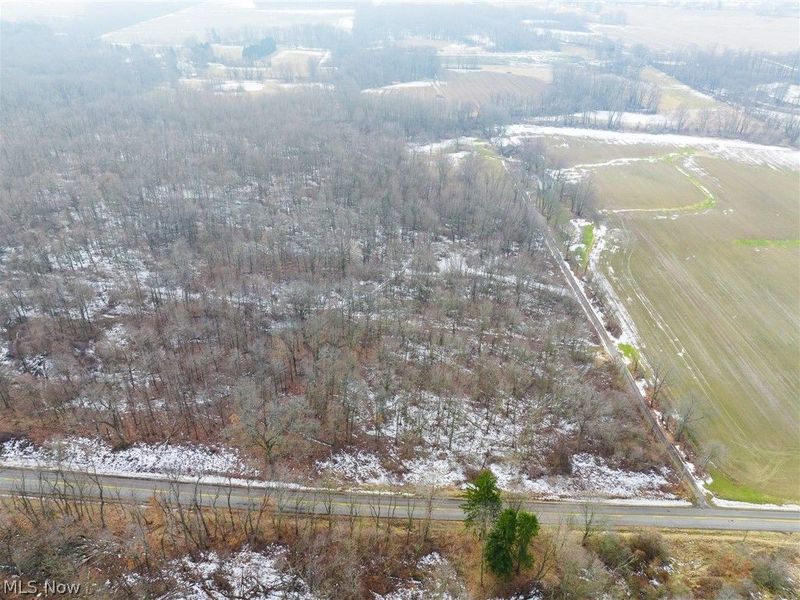 7389 Doylestown Road, Sterling, OH 44276 Photo 14