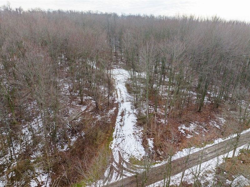 7389 Doylestown Road, Sterling, OH 44276 Photo 16