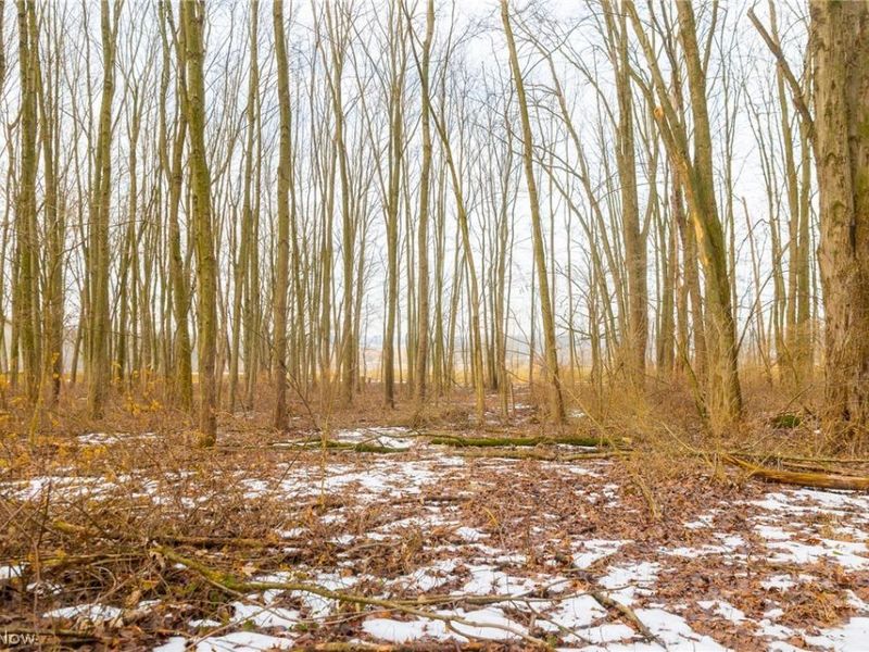 7389 Doylestown Road, Sterling, OH 44276 Photo 5