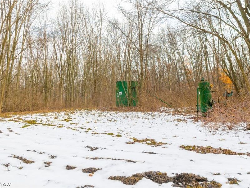 7389 Doylestown Road, Sterling, OH 44276 Photo 6