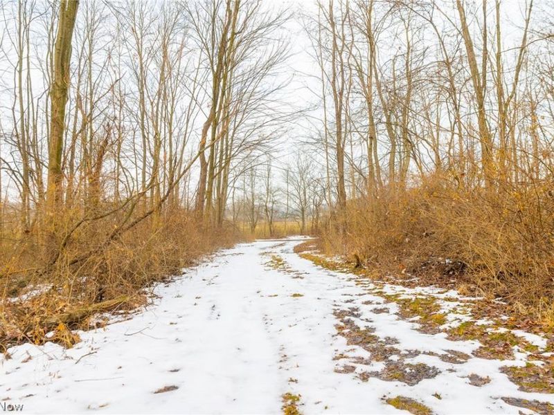 7389 Doylestown Road, Sterling, OH 44276 Photo 7