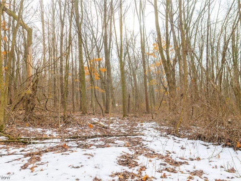 7389 Doylestown Road, Sterling, OH 44276 Photo 9