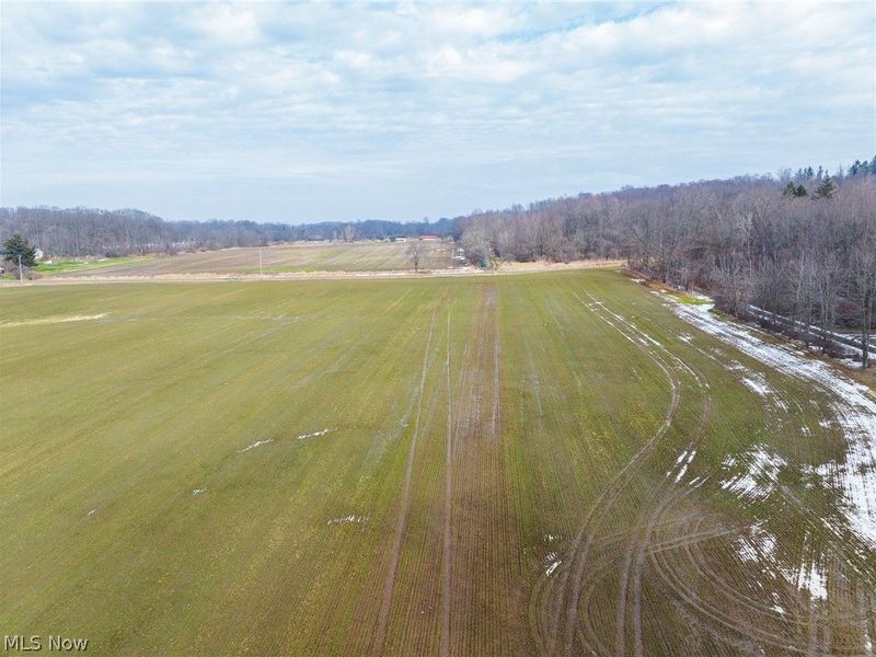 7389 Doylestown Road, Sterling, OH 44276 Photo 4