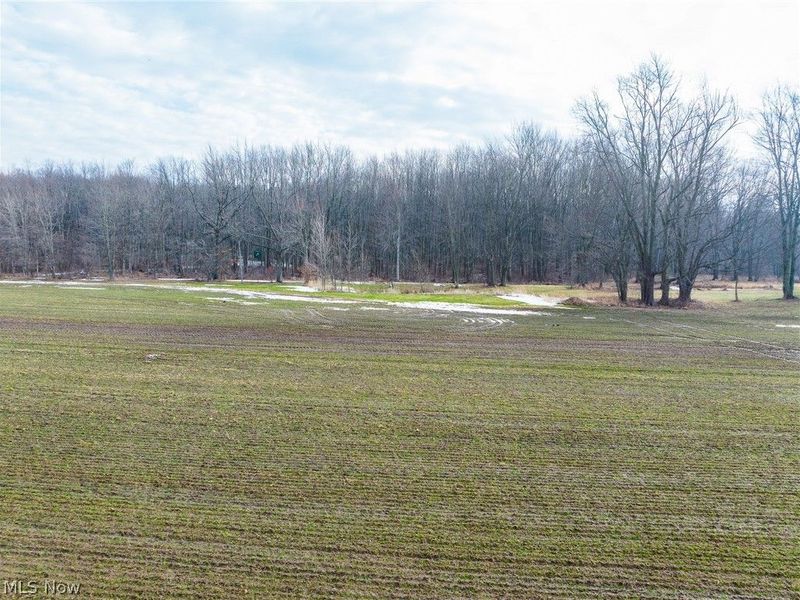 7389 Doylestown Road, Sterling, OH 44276 Photo 7