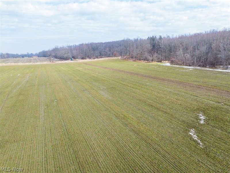 7389 Doylestown Road, Sterling, OH 44276 Photo 8