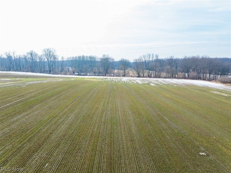 7389 Doylestown Road, Sterling, OH 44276 Photo 10