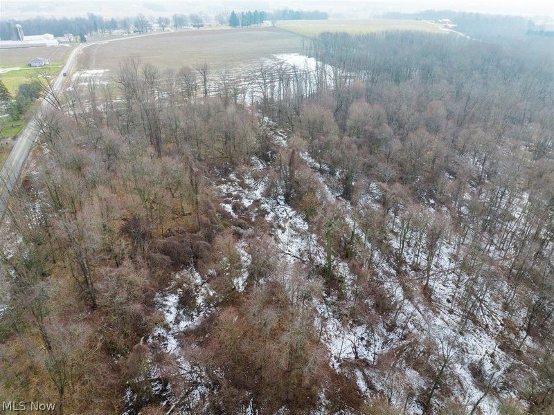 7389 Doylestown Road, Sterling, OH 44276 Photo 11