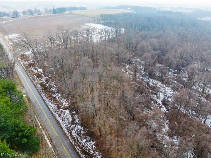 7389 Doylestown Road, Sterling, OH 44276 Photo 12