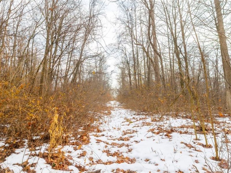 7389 Doylestown Road, Sterling, OH 44276 Photo 3