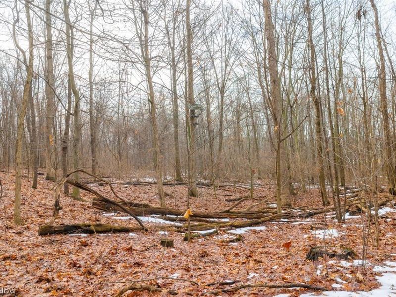 7389 Doylestown Road, Sterling, OH 44276 Photo 4