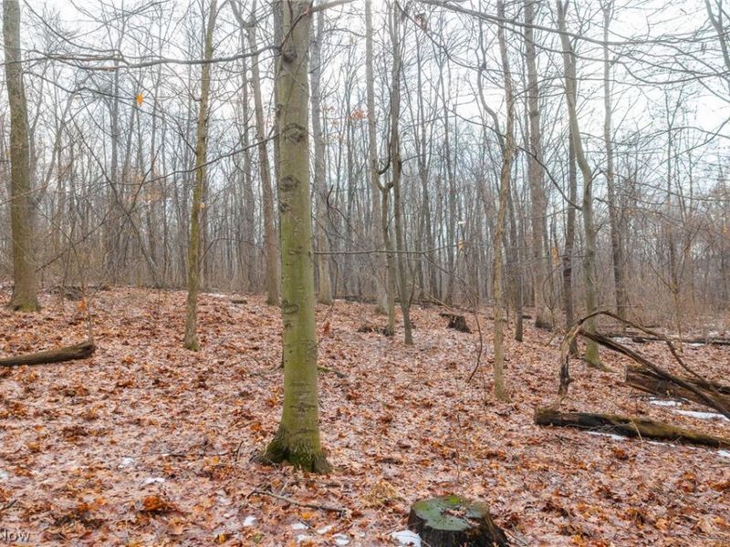 7389 Doylestown Road, Sterling, OH 44276 Photo 5