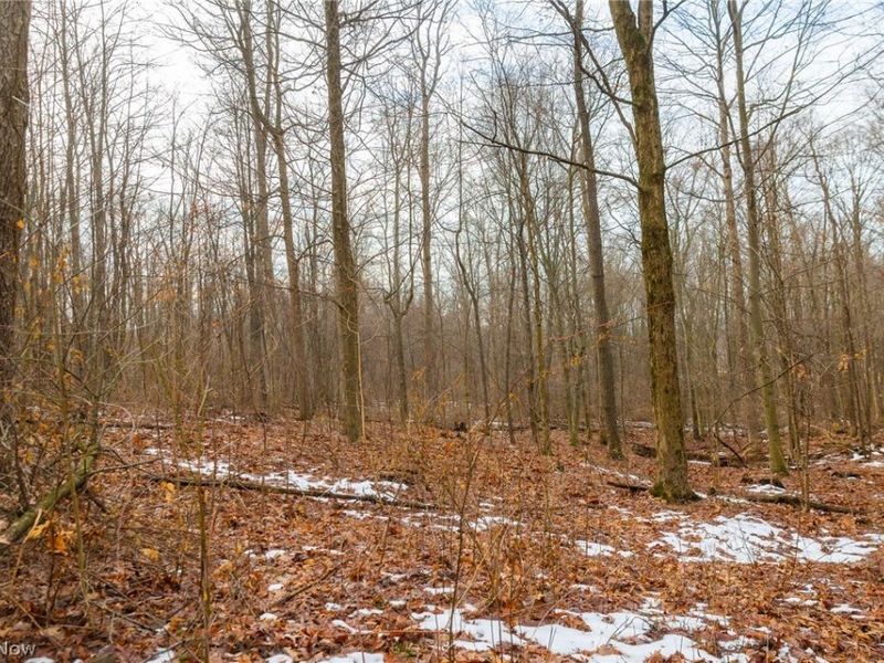 7389 Doylestown Road, Sterling, OH 44276 Photo 6