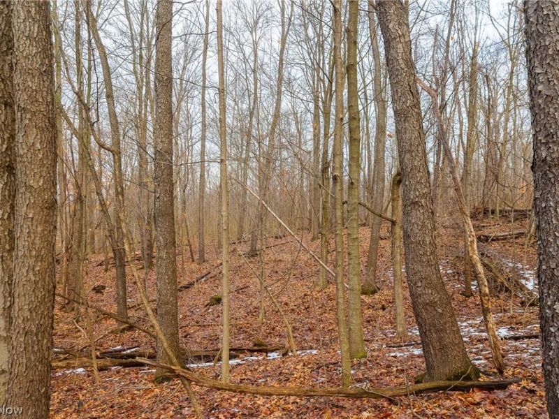 7389 Doylestown Road, Sterling, OH 44276 Photo 7