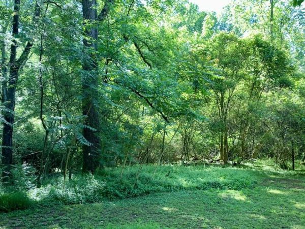 0 S Tanglewood Drive, Royston, GA 30662