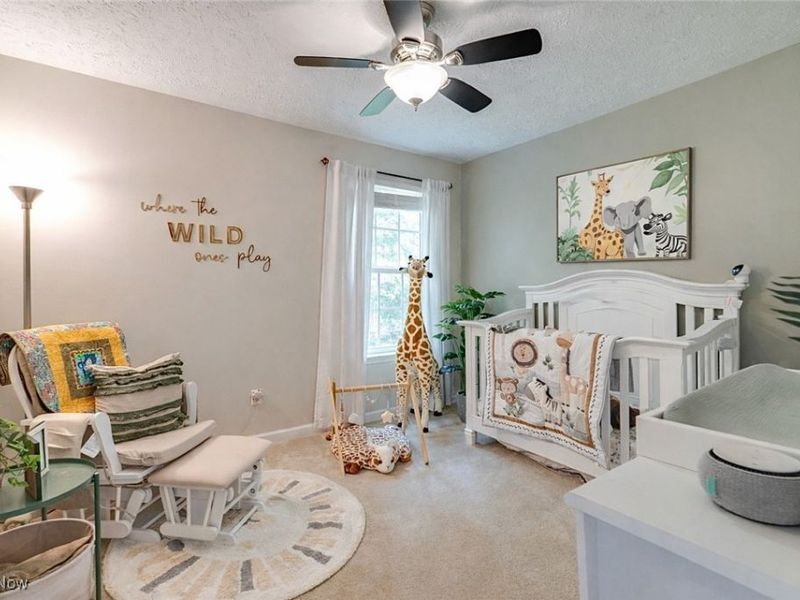 7194 Emerald Marsh Circle NW, Canal Fulton, OH 44614 Photo 19