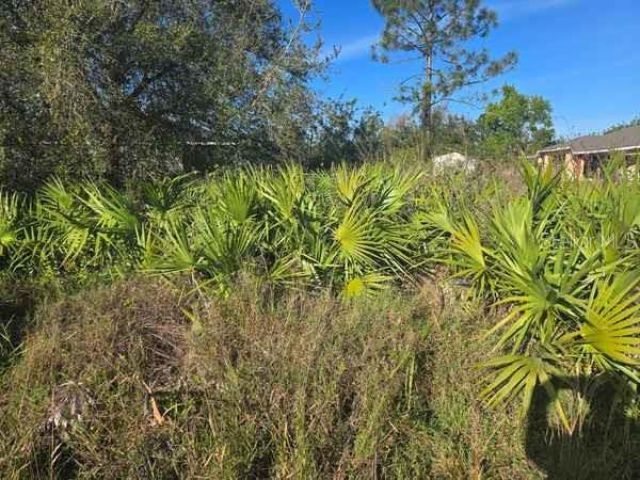 3813 5th Street Sw, Lehigh Acres, FL 33976 Photo