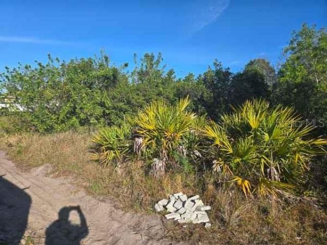 3813 5th Street Sw, Lehigh Acres, FL 33976 Photo