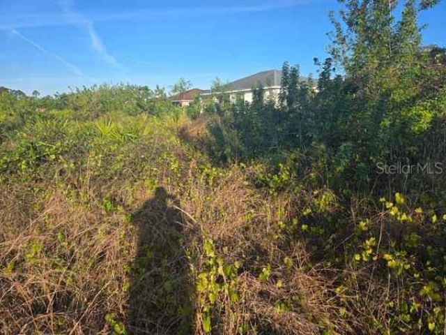 3813 5th Street Sw, Lehigh Acres, FL 33976 Photo