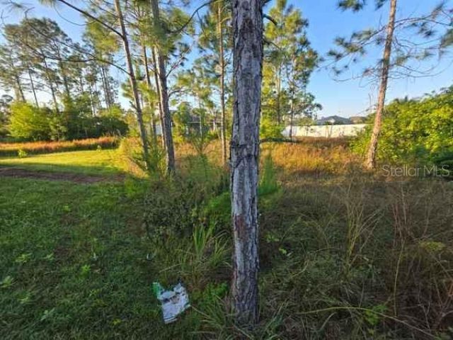 3813 5th Street Sw, Lehigh Acres, FL 33976 Photo