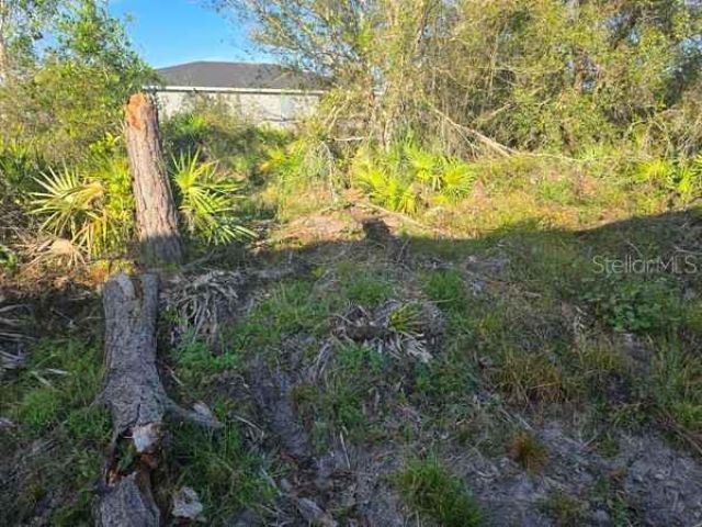 3813 5th Street Sw, Lehigh Acres, FL 33976 Photo
