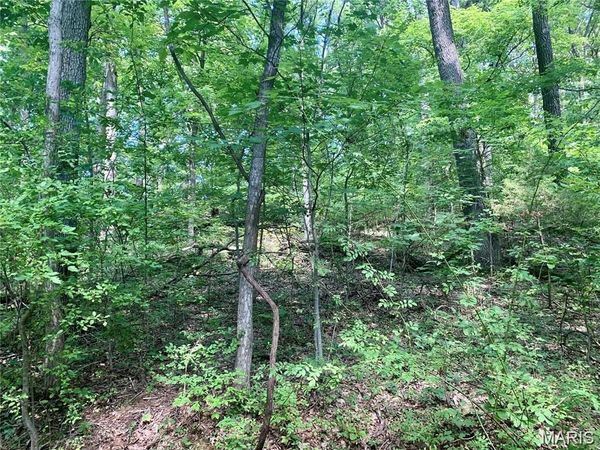 Lot 2 Dogwood Acres, Imperial, MO 63052