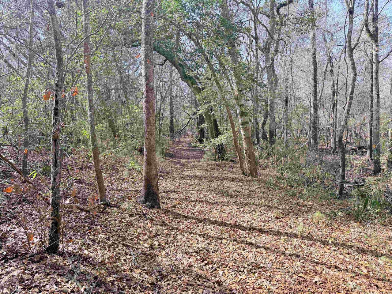 9.25 Acres Highway 9 Photo 14