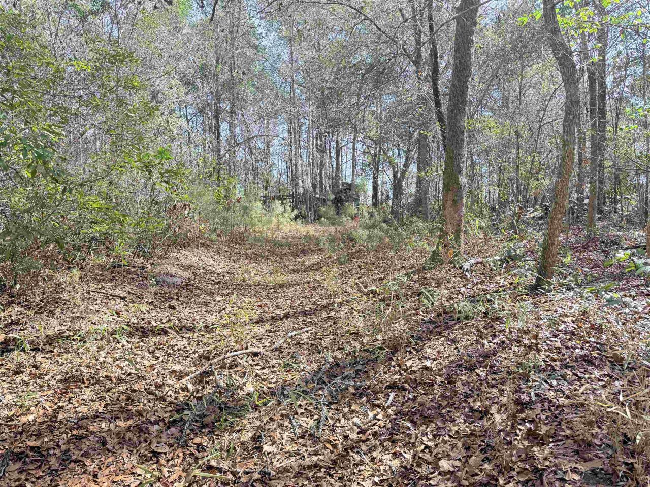 9.25 Acres Highway 9 Photo 16