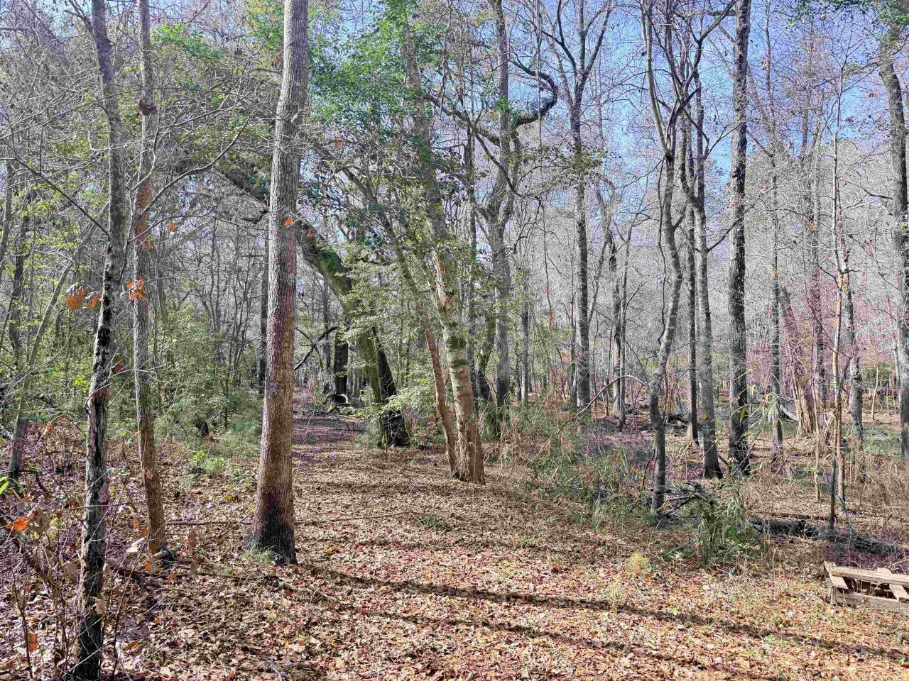 9.25 Acres Highway 9 Photo 17