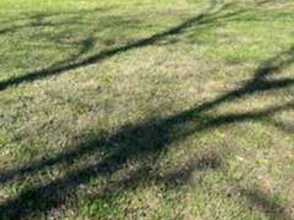 223 Atha Street, Monroe, GA 30655