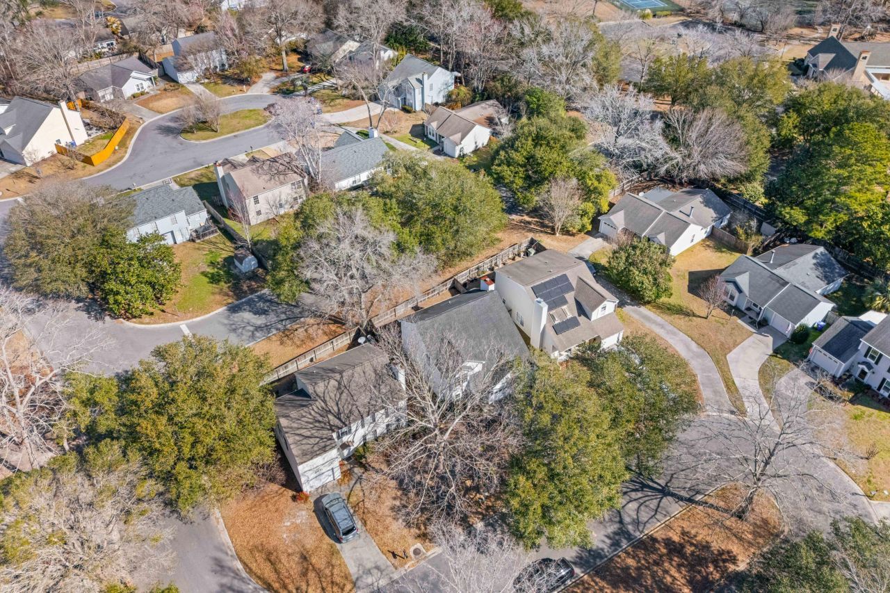 2019 Wild Flower Photo 30