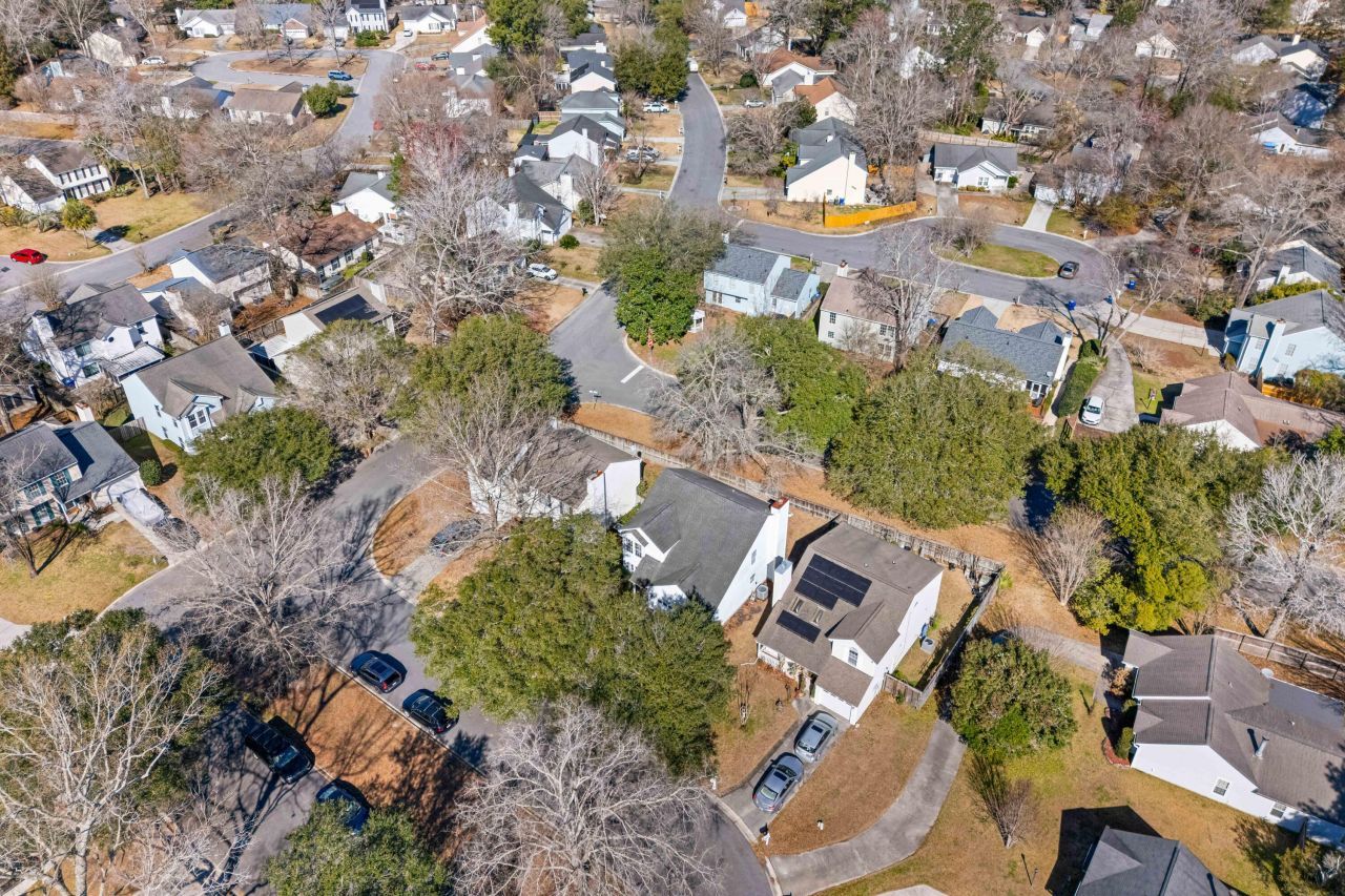 2019 Wild Flower Photo 31