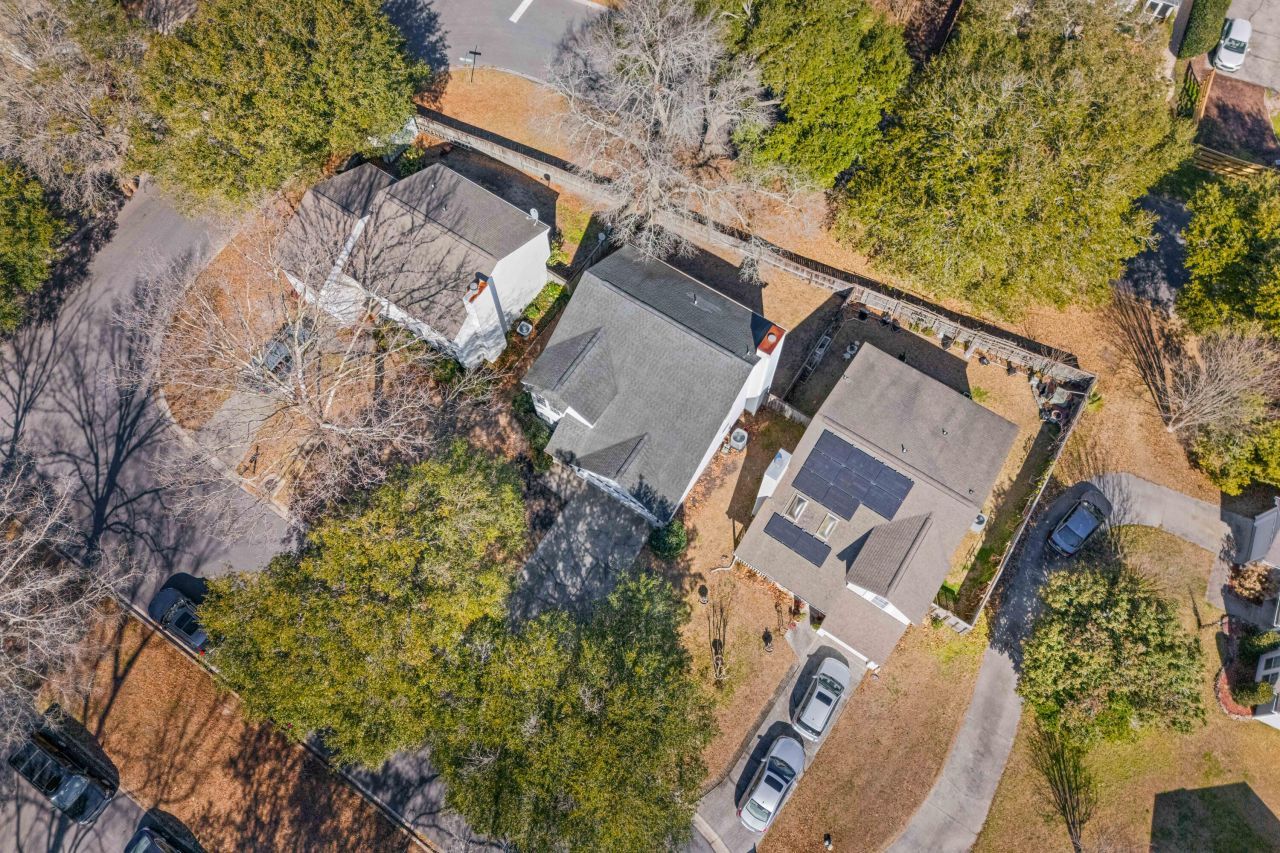 2019 Wild Flower Photo 32