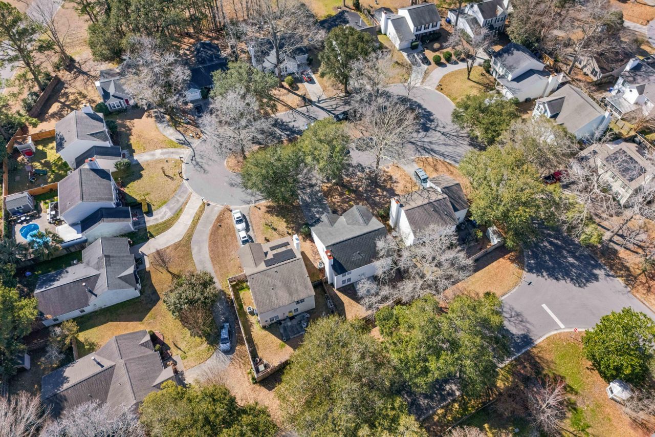 2019 Wild Flower Photo 33