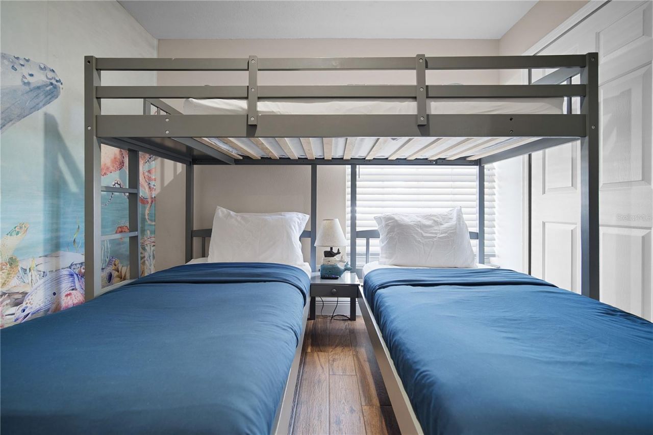 3106 Birds Rest Place, Kissimmee, FL 34743 Photo