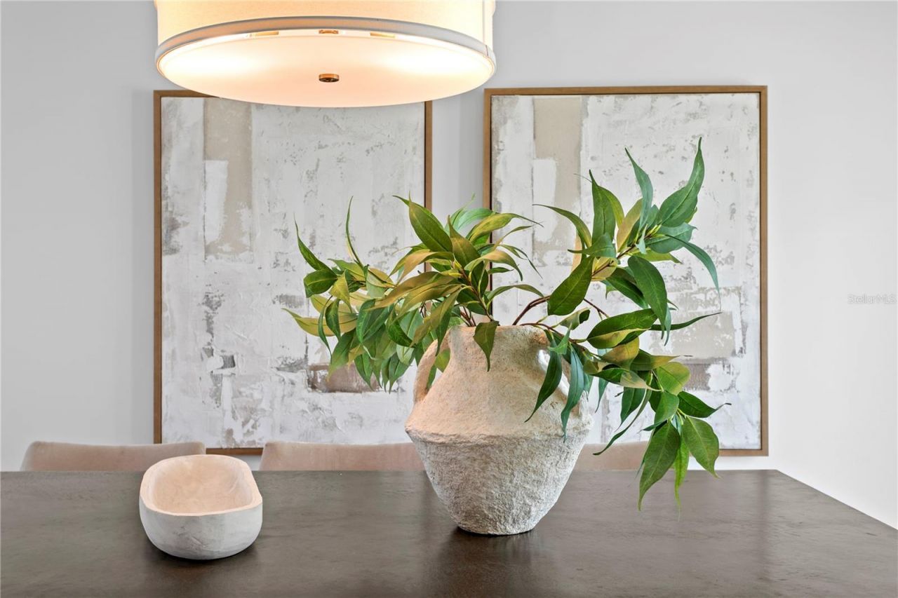 1182 41st Avenue Ne, Saint Petersburg, FL 33703 Photo